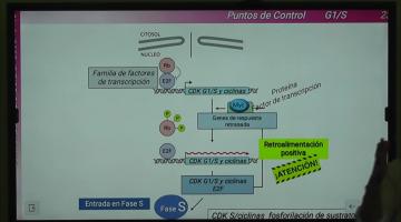 LCTA. BCM 2024. Mitosis y Meiosis.