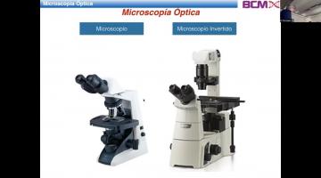 BCM 2025. Microscopía I.