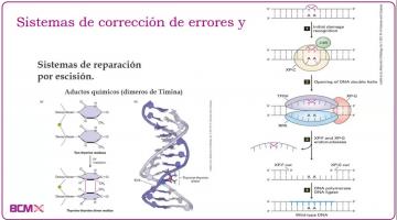 BCM 2025. Sist. de corrección de errores.