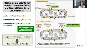BCM 2025. Muerte celular.