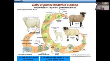 BCM 2025. Diferenciación. BCM 2025. Diferenciación.