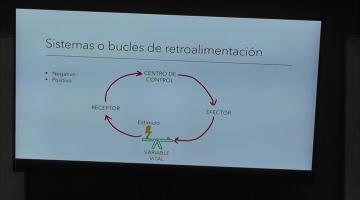 Fisiología 2026. Stress.