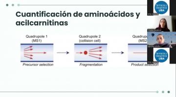 Seminario SANUBROTO. Espectrometría de masas aplicada a errores del metabolismo