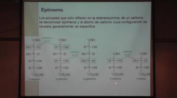 Química Orgánica II 2015, 29 de Abril.