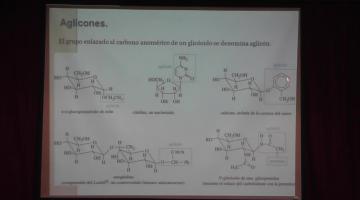 Química Orgánica II 2015, 12 de Mayo