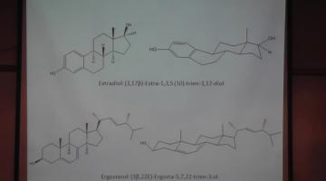 Química Orgánica II 20 de Mayo