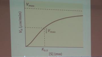 Química Biológica 2015 31 de Agosto Enzimas (final) y Membranas.
