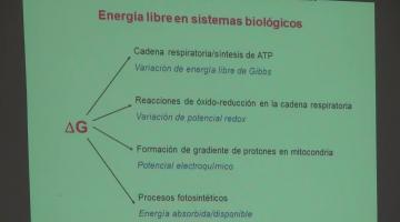Fisicoquímica 2020. Electroquímica II. Potencial Electroquímico