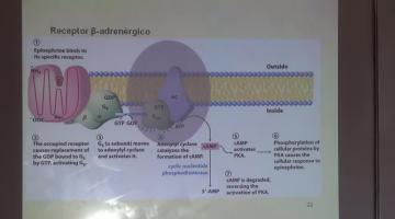 Química Biológica 2015 7 de Octubre Bioseñalización
