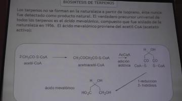 Química Orgánica II 2016 19/04 Final Lípidos y Terpenos