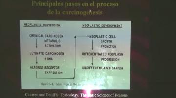 Toxicología y Química Legal 2016 1 de Septiembre Carcinogénesis: mutagénesis.