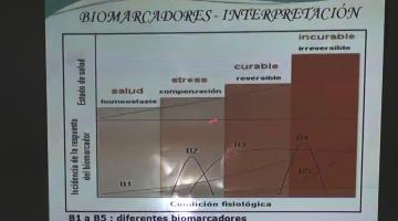 Toxicología y Química Legal 2016 11 de Octubre. Ecotoxicología y contaminación Ambiental