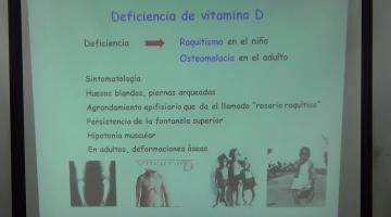 Nutrición y Bromatología 2016 24 de Octubre Vitaminas Liposolubles