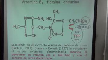 Nutrición y Bromatología 2016 7 de Noviembre Vitaminas Hidrosolubles