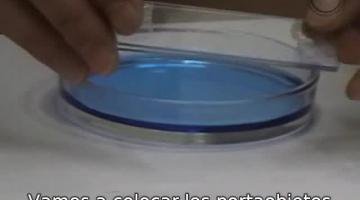Una Hiperbola en Física