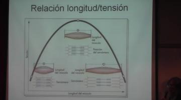 Fisiología 2022 3º Clase. Músculo.