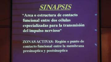 Fisiología 2022.  2º Clase. Sinapsis y Neurotransmisión.