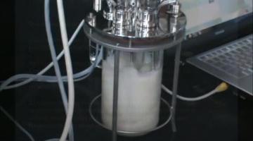 Fermentador