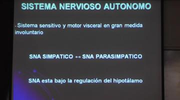 Fisiología 2022. 4º Clase Sistema Nervioso Autónomo.