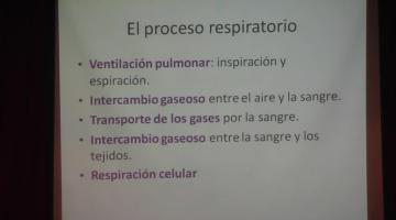 Fisio 2020, 17º Teórica. 21 de Mayo