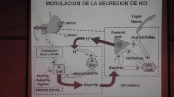 Fisio 2020, 18º Teórica. 26 de Mayo