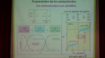 Química Biológica 2017, 8 de Agosto. Proteínas (I).