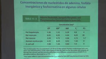 Química Biológica 2017, 17 de Agosto. Bioenergética.