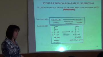 Química Biológica 2017, 7 de Septiembre. Metabolismo de Glúcidos (III).