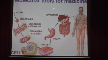 Lipidomics and Personalised Medicine