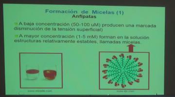 Fisicoquímica 2020. Fisicoquímica de Interfases.