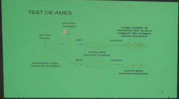 Química Biológica 2017, 26 de Octubre. Reparación de ADN.