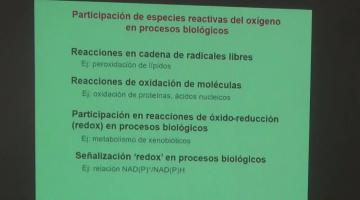 Fisicoquímica 2020. Radicales libres y antioxidantes en sistemas biológicos.