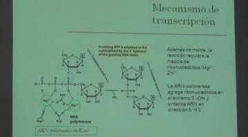 Química Biológica 2017, 31 de Octubre. Metabolismo del ARN.