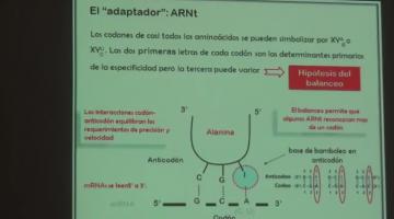 Química Biológica 2017, 2 de Noviembre. Metabolismo de Proteínas.