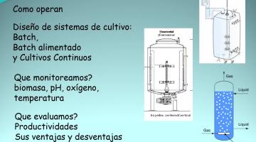 Procesos de Biotecnología 2019. Orientaciones Bioquímica.