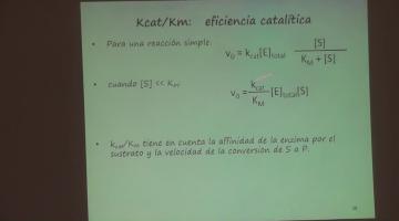 Química Biológica 2018. 23 de Agosto.