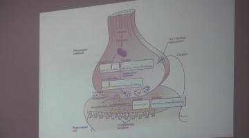 Farmacología 2018. 31 de Agosto.