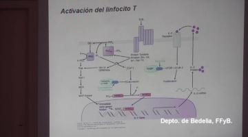 Farmacología 2018. 17 de Septiembre.