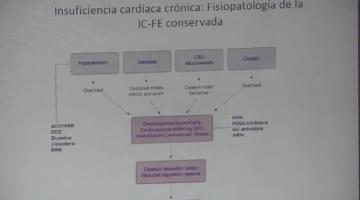 Farmacología 2018. 10 de Octubre.