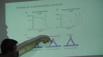 Farmacología 2018. 19 de Octubre.