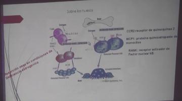 Farmacología 2018. 7 de Noviembre.