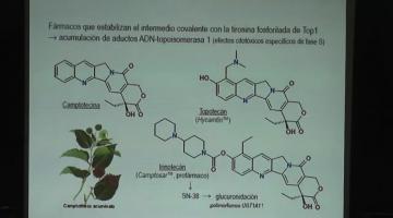 Farmacología 2018. 12 de Noviembre.