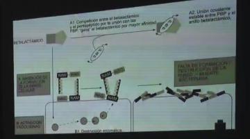 Farmacología 2018. 14 de Noviembre.
