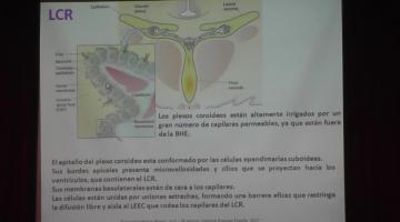 Fisiología 2022. 8º Clase. Líquido Cefalorraquídeo.