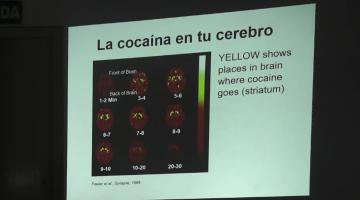 Farmacología (Bca.) 2019. 7 de Octubre.