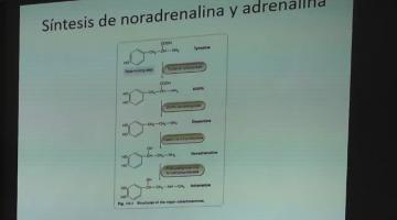 Farmacologia 2019. 30 de Septiembre.