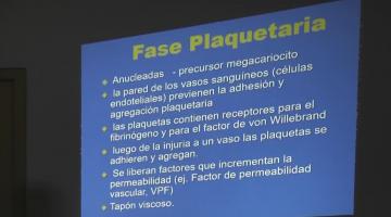 Farmacología (Bca.) 2019. 24 de Octubre.