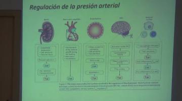 Farmacología II 2020. 12 de Marzo.