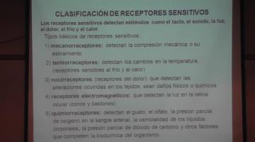 Fisiología 2022. 5º Clase. Sensibilidad y Termoalgesia.