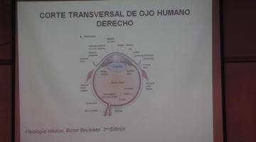 Fisiología 2022. 6º Clase. Sentidos Especiales.